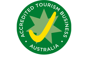 Tourism Tick